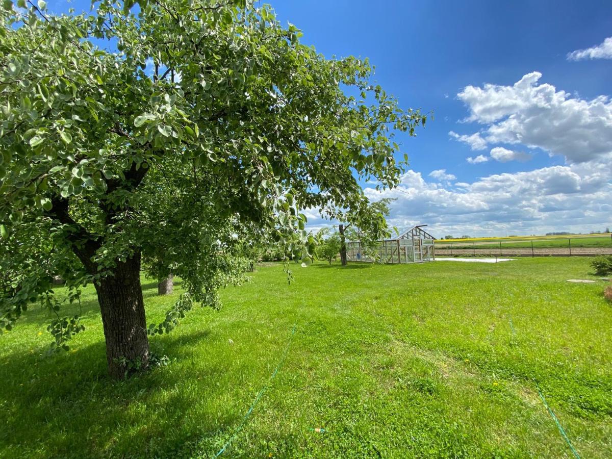 Zagroda U Leny - Dom Na Wylacznosc Czyze Exterior photo