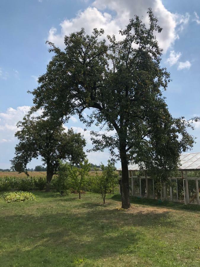 Zagroda U Leny - Dom Na Wylacznosc Czyze Exterior photo